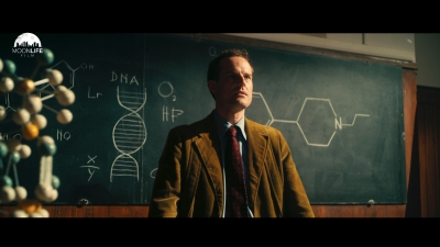 Pantaleone Megna the Shape of Life