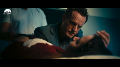 Pantaleone Megna the Shape of Life