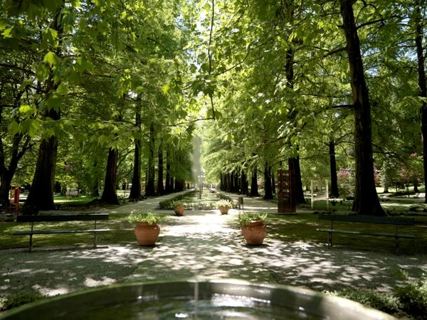 Convegno a Darfo Boario (BS), 9 luglio 2017